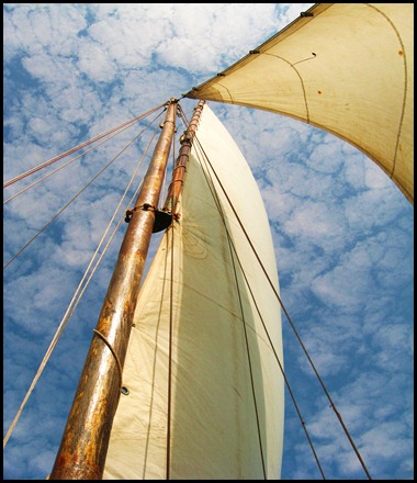 Exploring Goa: Sailing on the Arabian Sea.