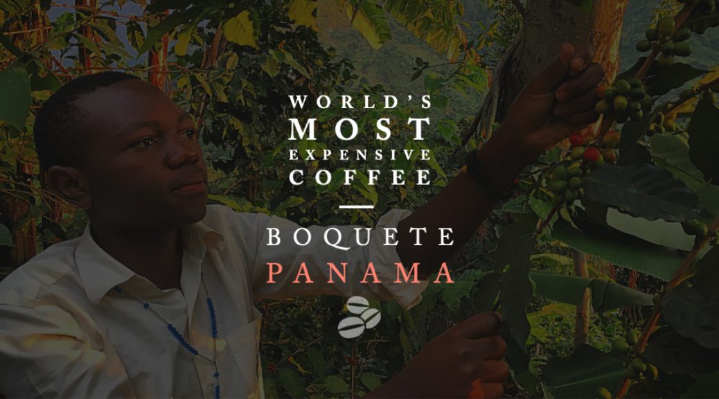 Gesha coffee, believed to have originated in Ethiopia, is perhaps world's most celebrated and expensive coffee bean. Today, Boquete in Panama grows this variety in a few fincas