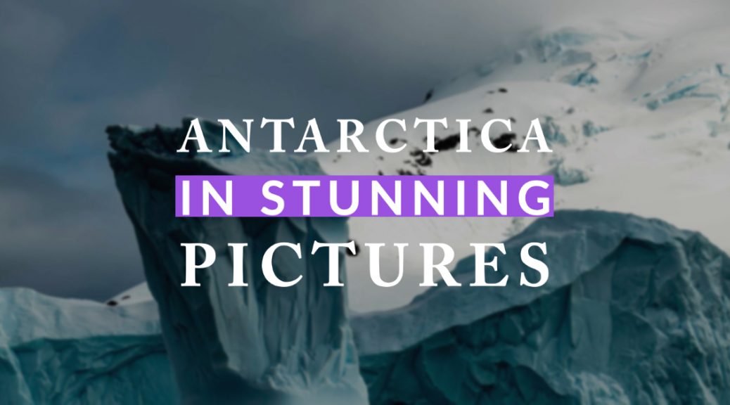 No amount of words can do justice to the beauty in Antarctica. These pictures come close to capturing the immense beauty,