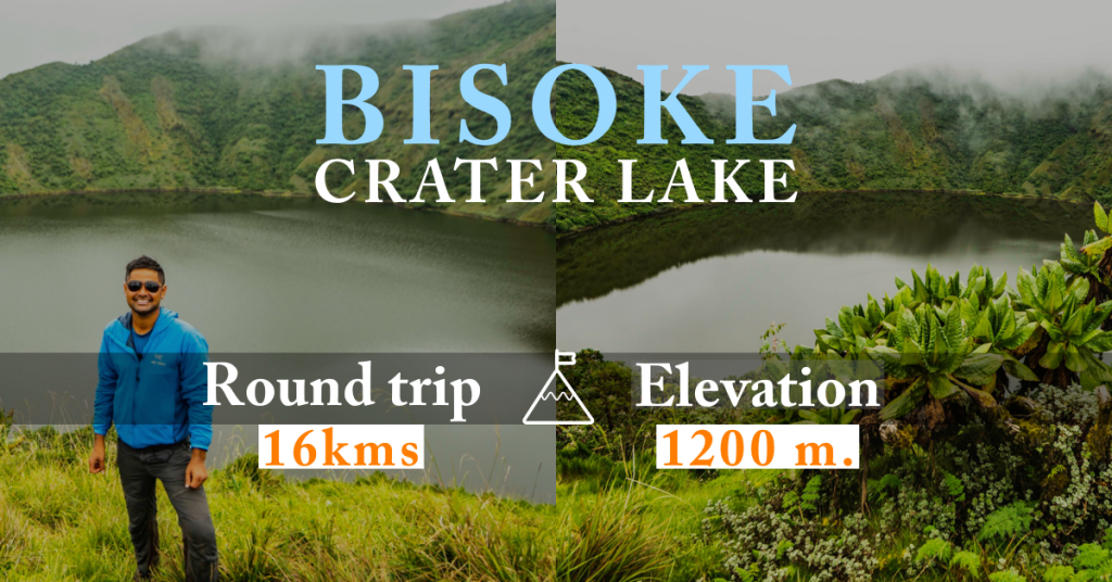 Day hike to Mt. Bisoke in Volcanoes National Park, Rwanda