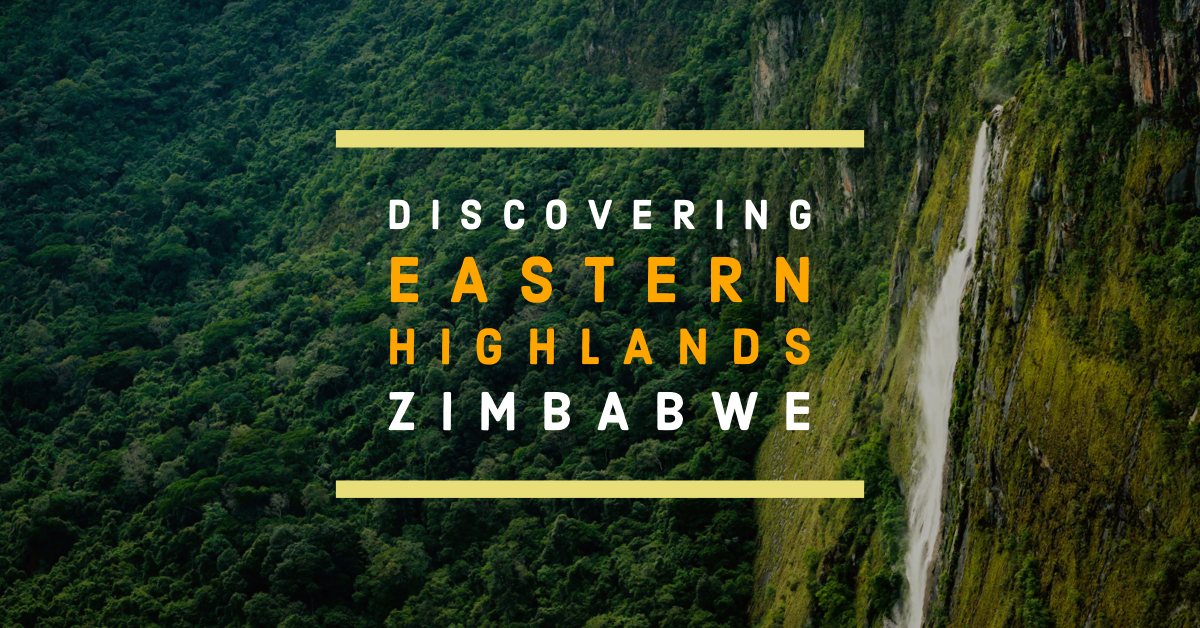 Discovering Zimbabwe's Eastern Highlands | Travel, Art And Beyond